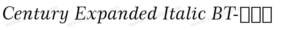 Century Expanded Italic BT字体转换